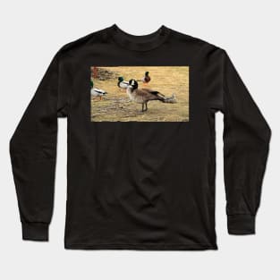 Canada Goose With Mallard Ducks Long Sleeve T-Shirt